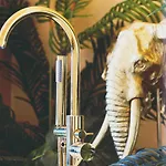 Jungle Suite --- Vasca In Camera